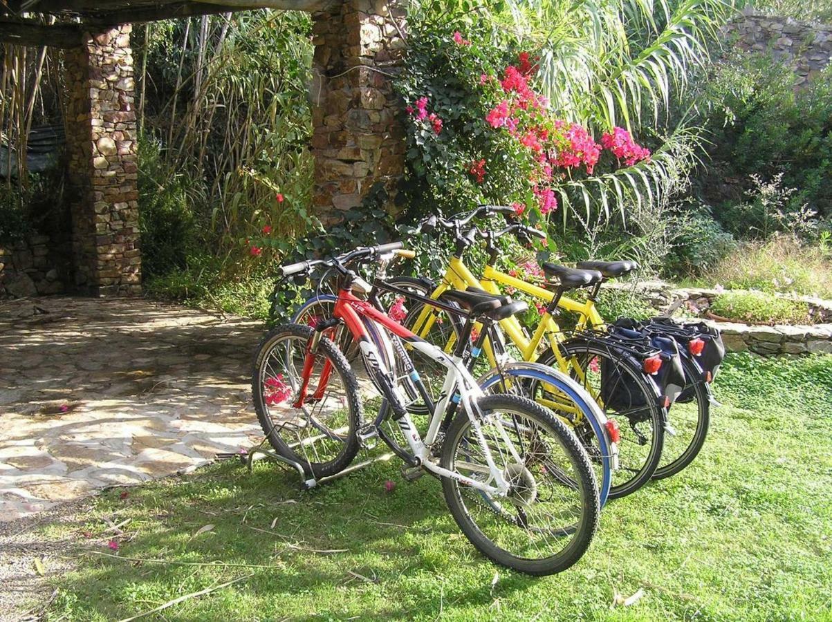 Holiday home Bamboo House Teulada